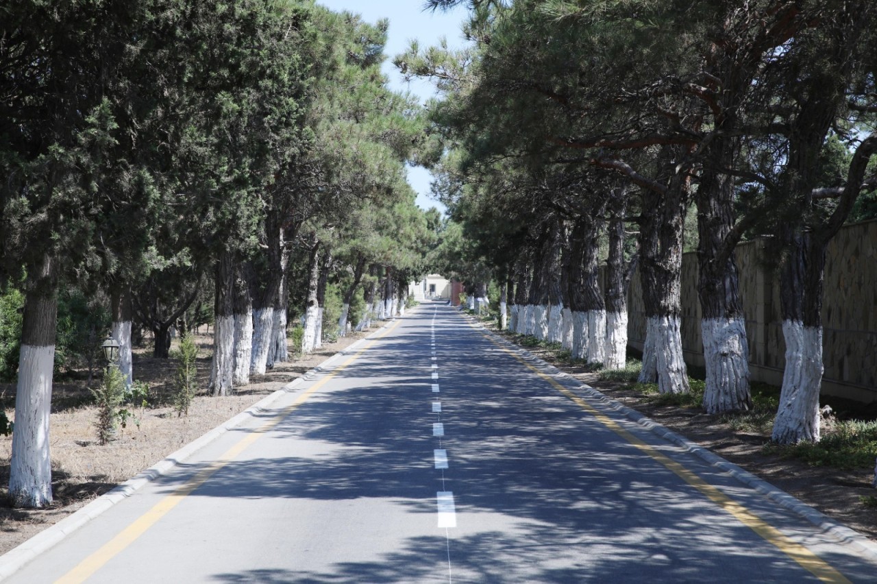 Rəhbər şəxslər və deputatlar "Abşeron" sanatoriyasında - FOTOLAR